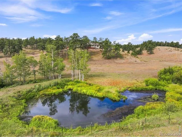 557 Red Bluff Road Livermore, CO 80536