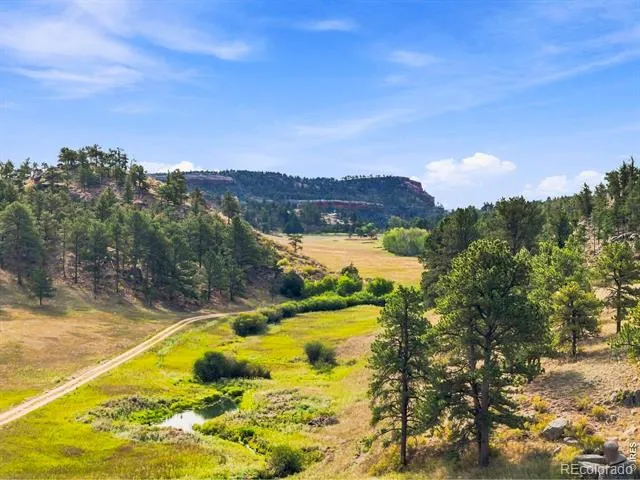 557 Red Bluff Road Livermore, CO 80536