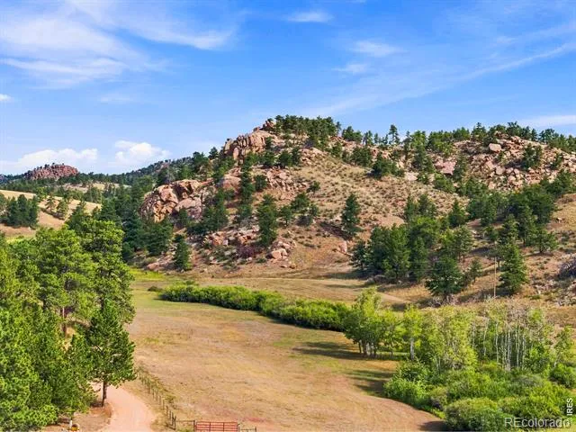 557 Red Bluff Road Livermore, CO 80536