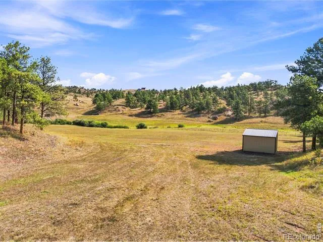 557 Red Bluff Road Livermore, CO 80536