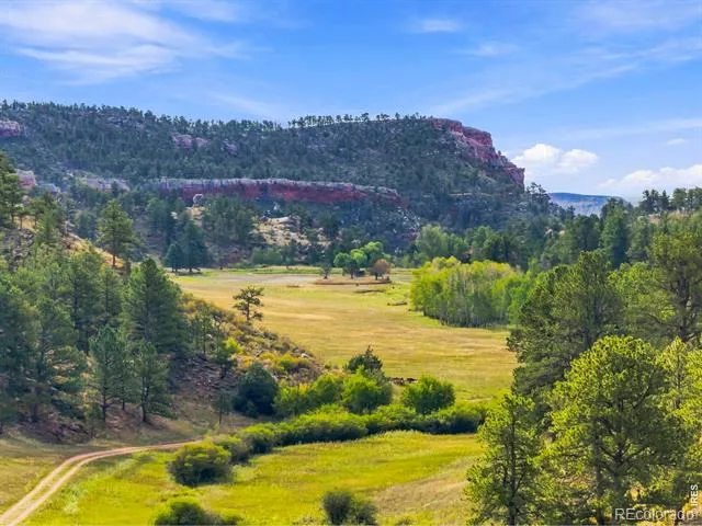 557 Red Bluff Road Livermore, CO 80536
