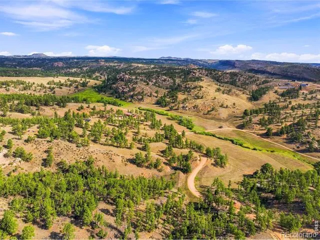 557 Red Bluff Road Livermore, CO 80536