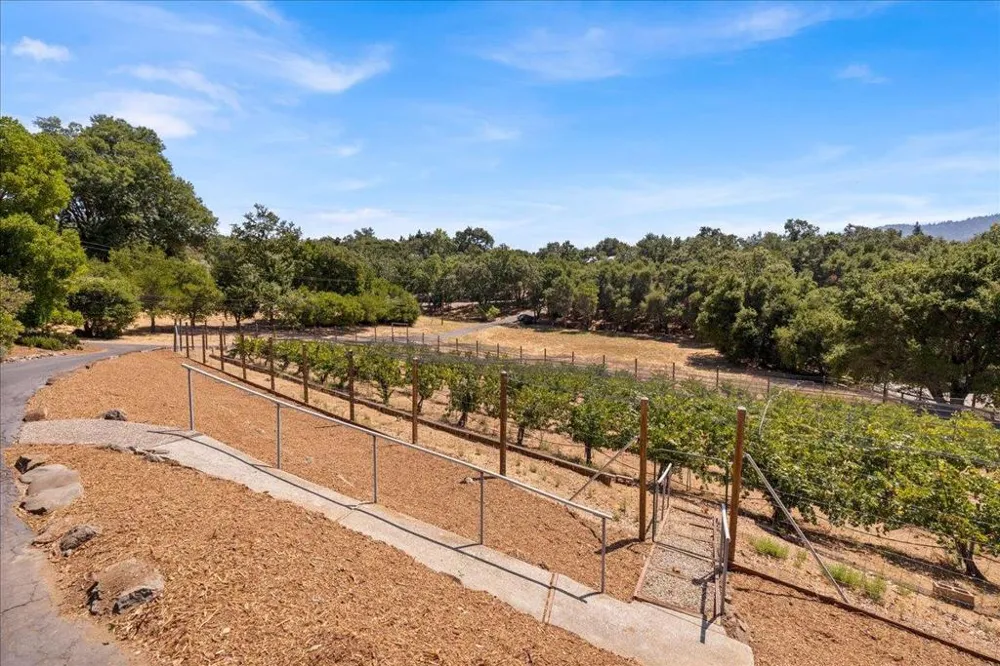 15 Naranja Way Portola Valley, CA 94028