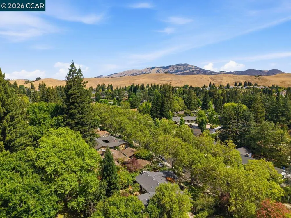 559 Old Orchard Dr Danville, CA 94526