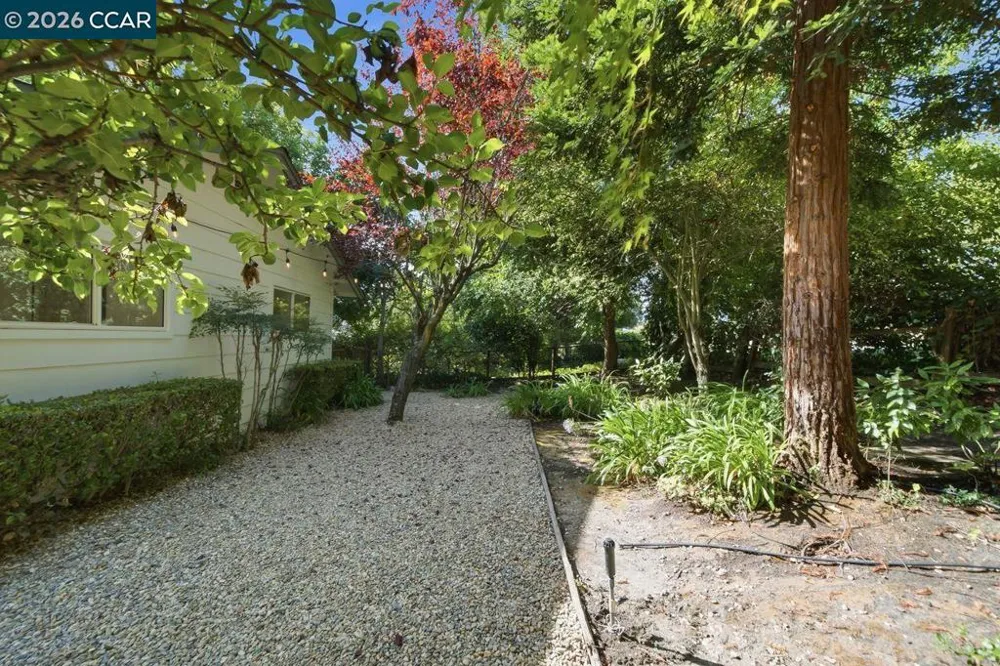 559 Old Orchard Dr Danville, CA 94526