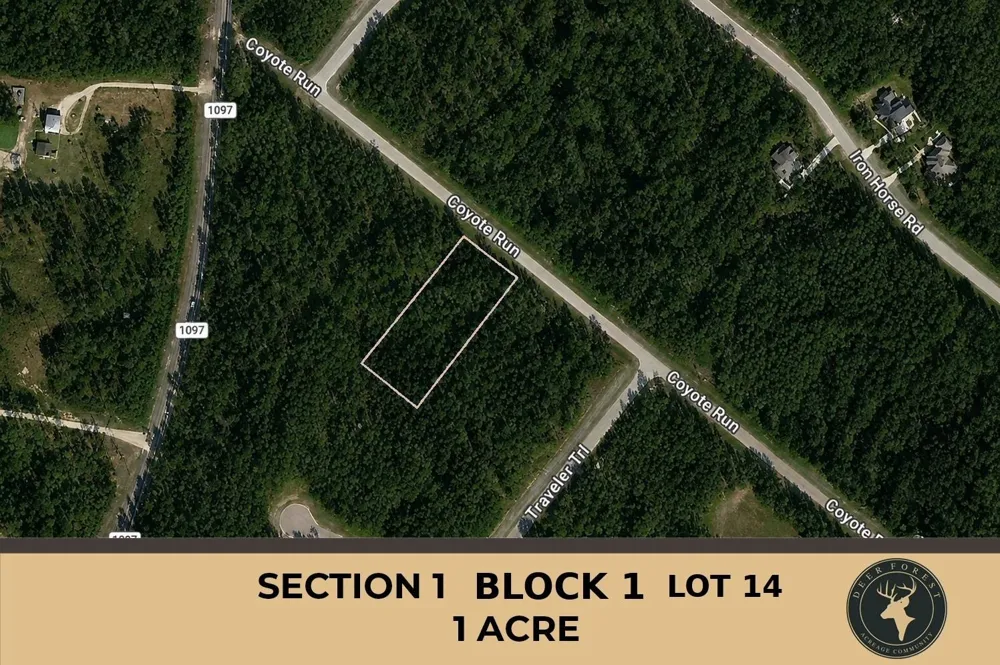 30 Coyote Run Willis, TX 77378