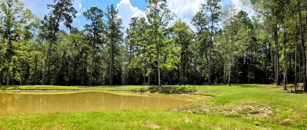 30 Coyote Run Willis, TX 77378