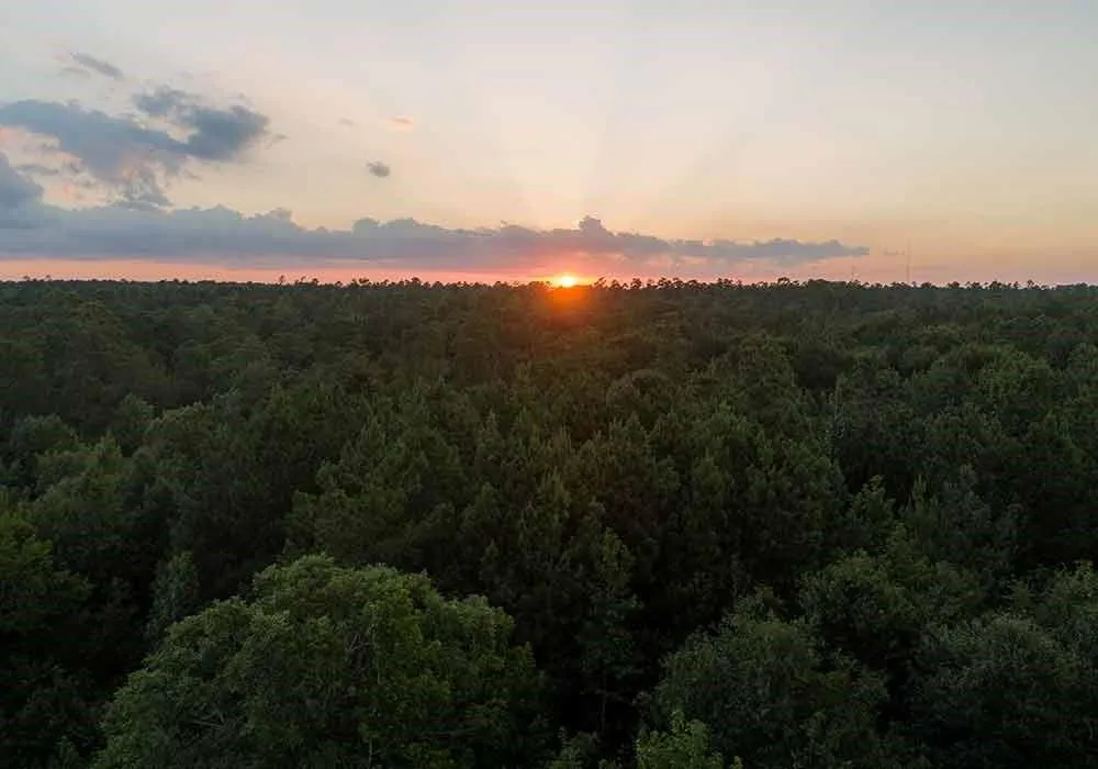 30 Coyote Run Willis, TX 77378