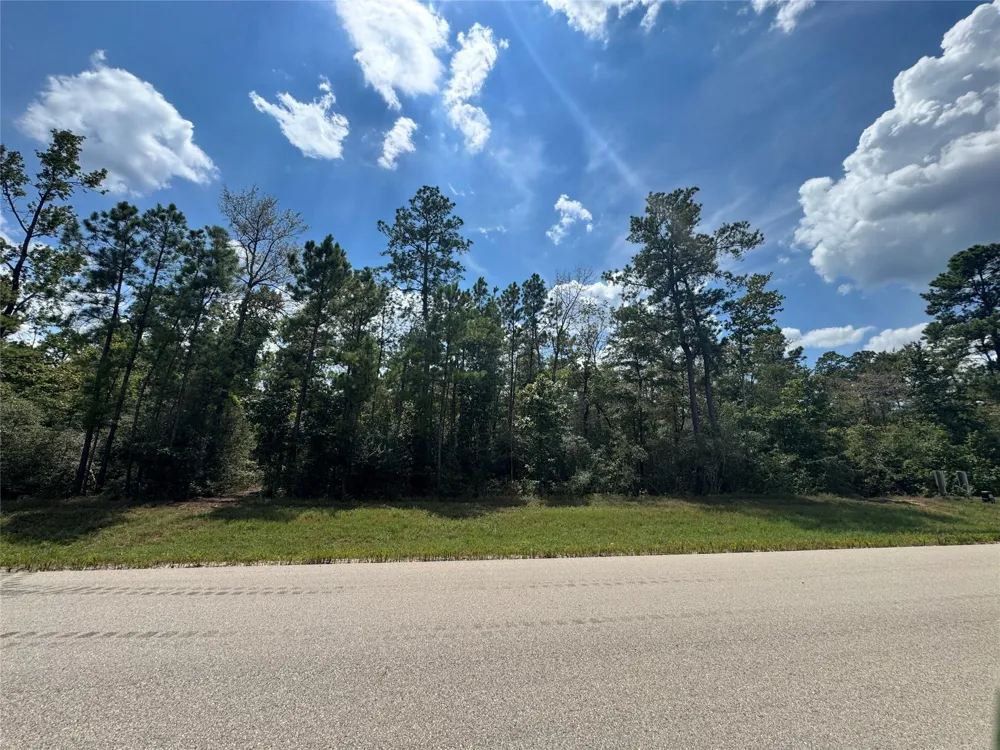 30 Coyote Run Willis, TX 77378
