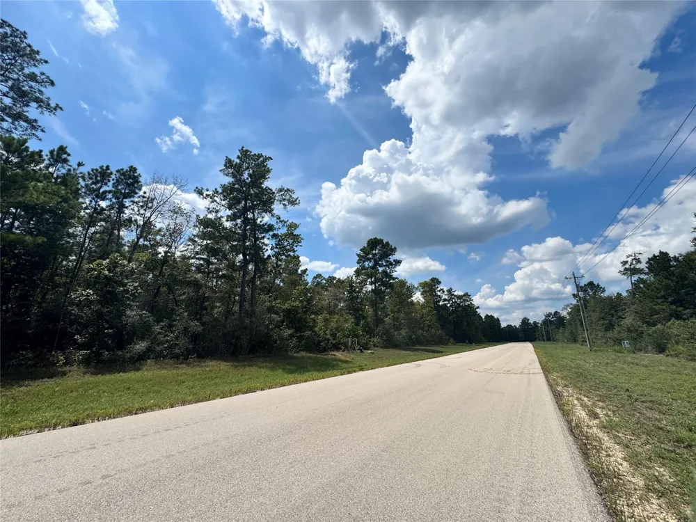 30 Coyote Run Willis, TX 77378