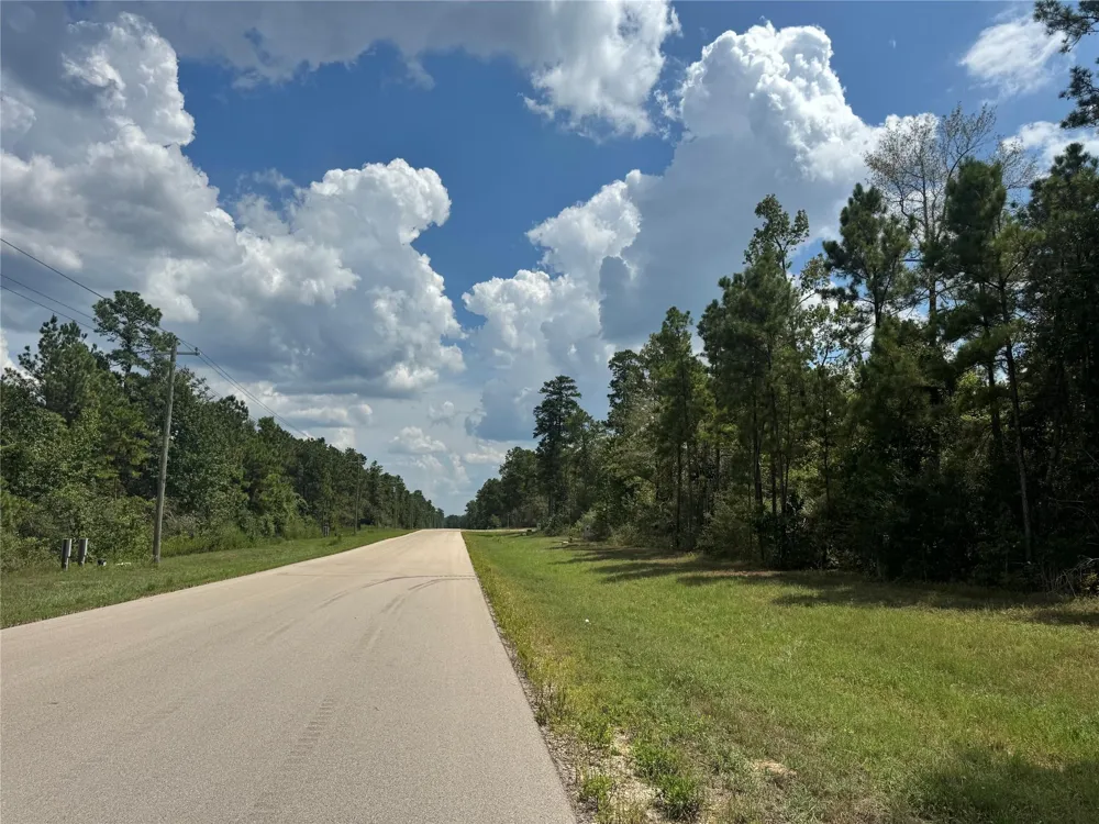 30 Coyote Run Willis, TX 77378
