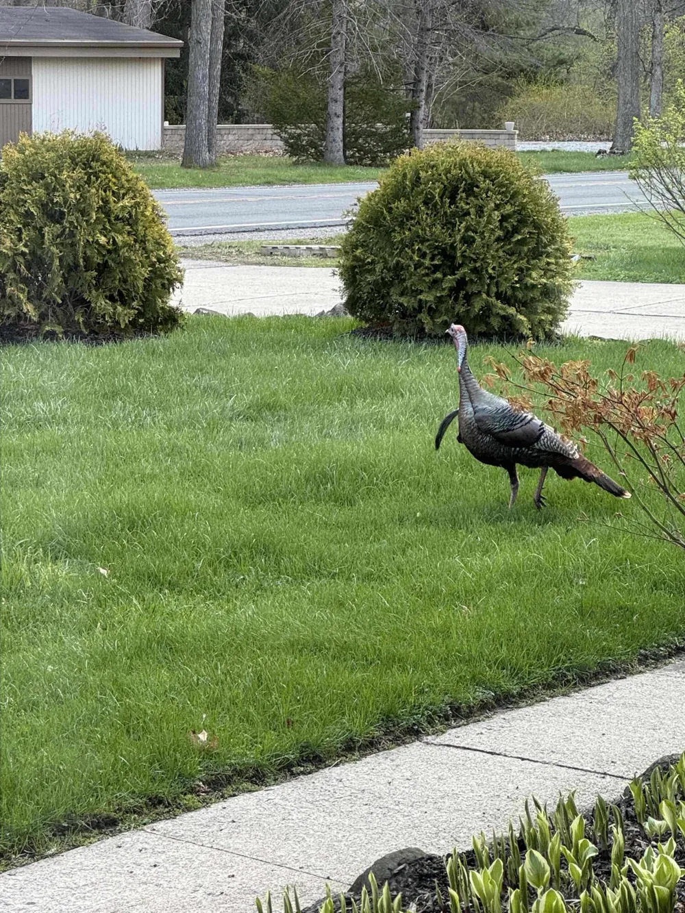 5580 Textile Road Ypsilanti Charter Township, MI 48197