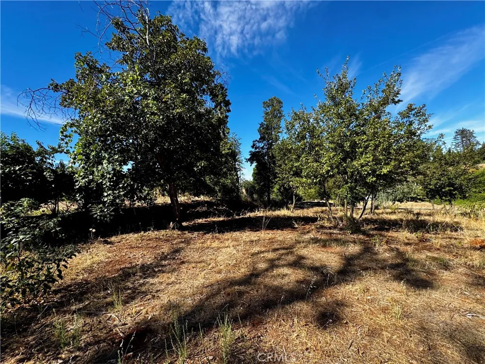 5465 Foster Paradise, CA 95969