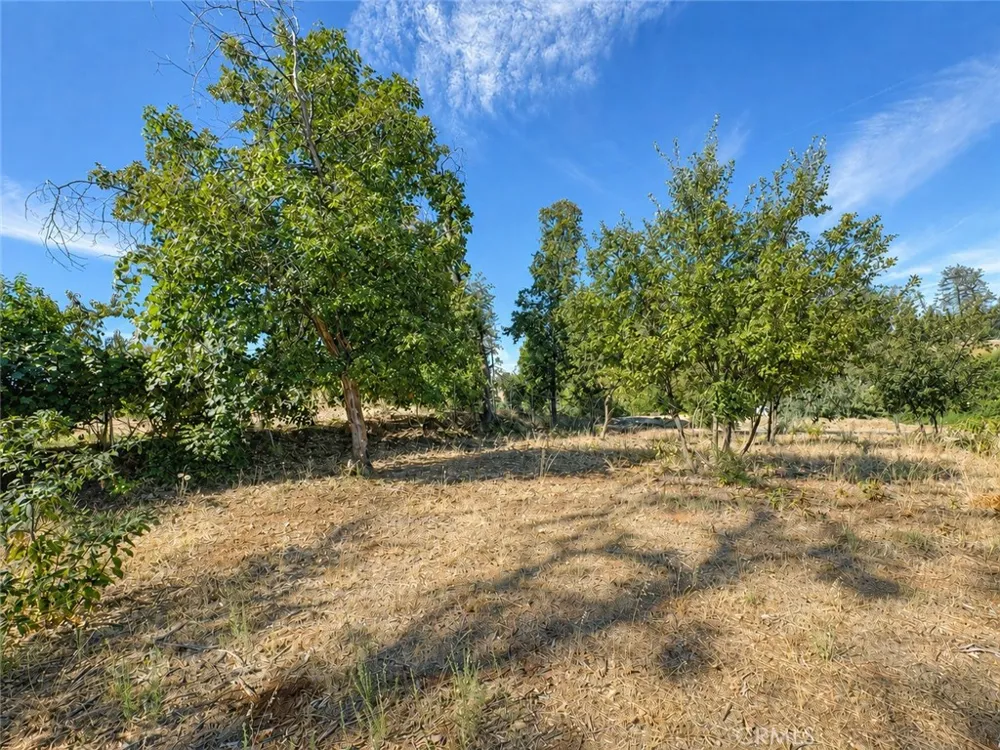 5465 Foster Paradise, CA 95969