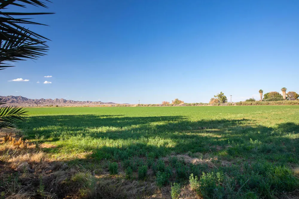 9645 4th Avenue Blythe, CA 92225