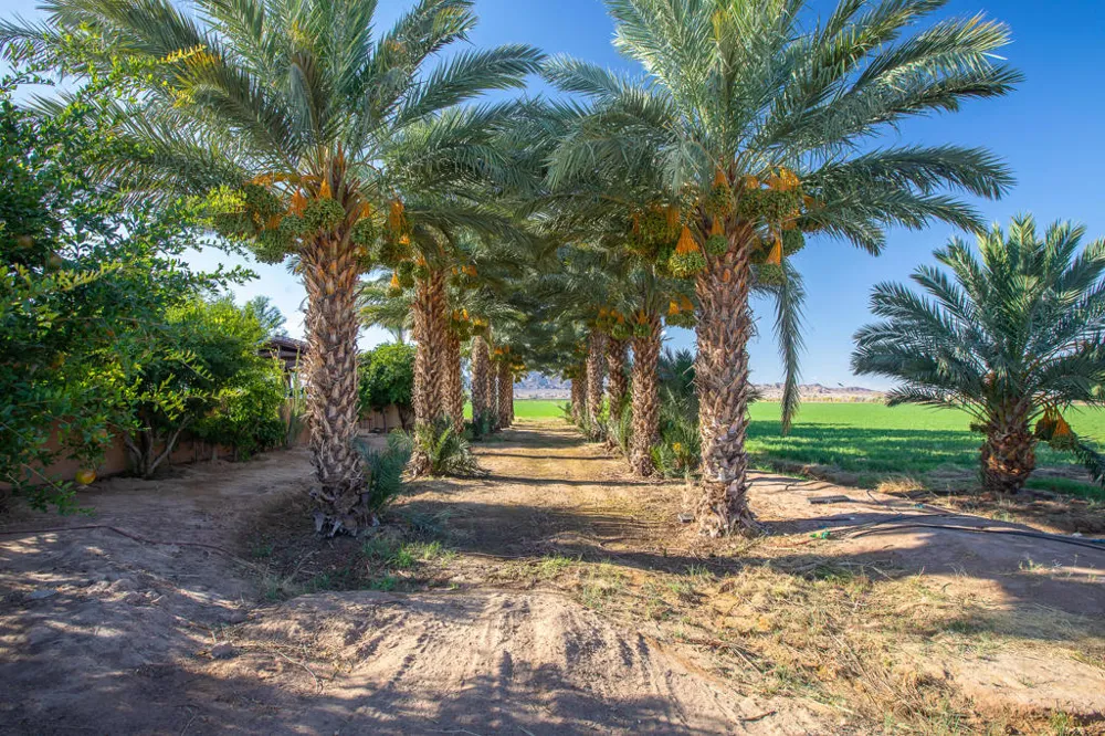 9645 4th Avenue Blythe, CA 92225