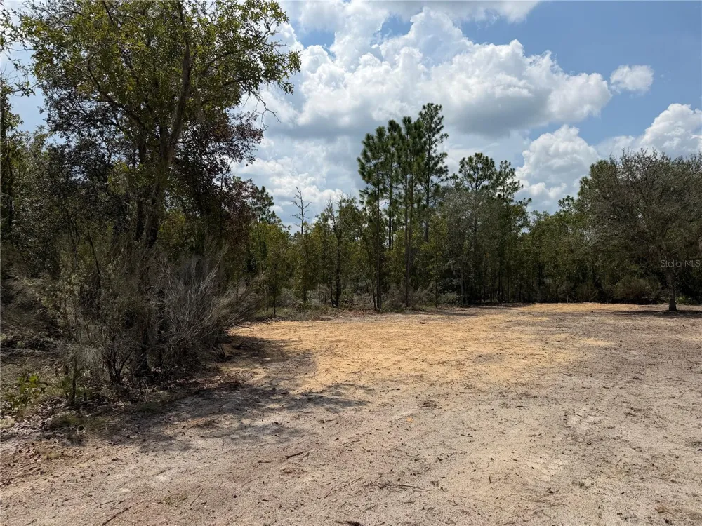 TBD NE 101ST TERRACE Archer, FL 32618