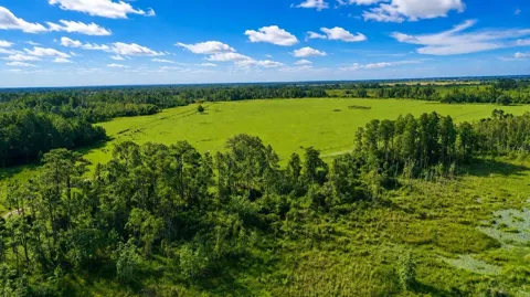 OLD POLK CITY ROAD