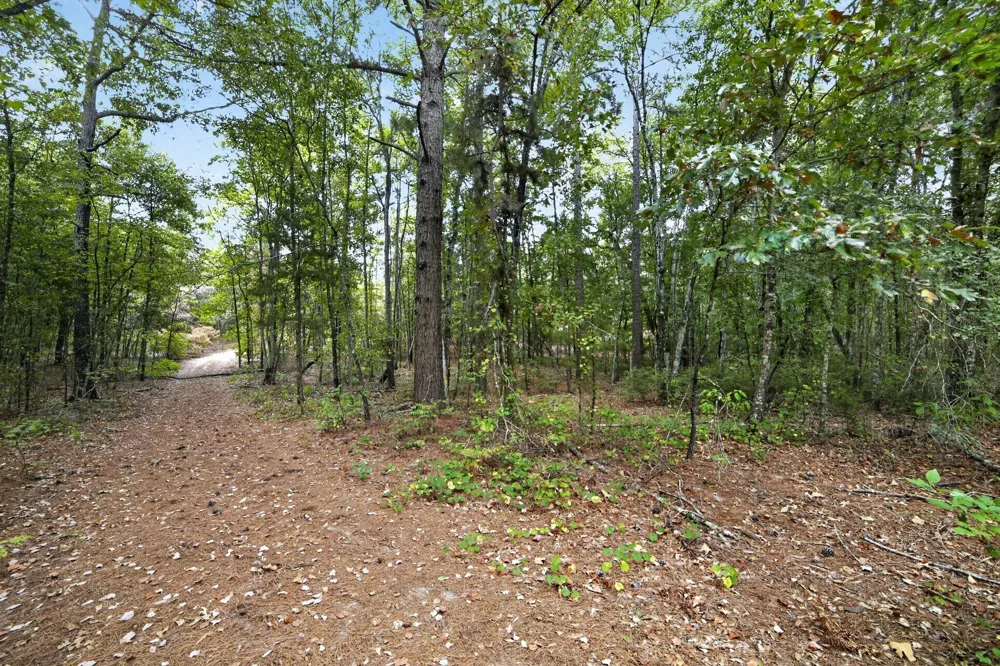 4079 S Farm To Market 2869 Road Hawkins, TX 75765