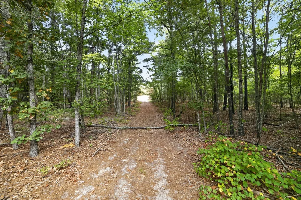 4079 S Farm To Market 2869 Road Hawkins, TX 75765