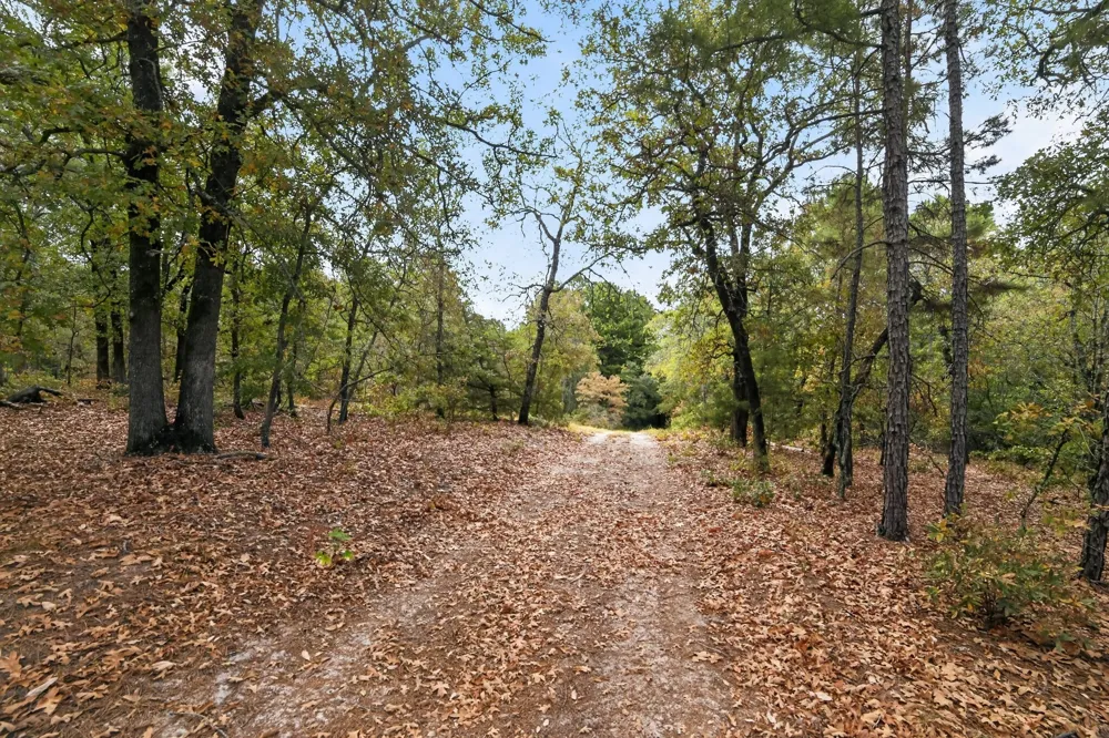 4079 S Farm To Market 2869 Road Hawkins, TX 75765