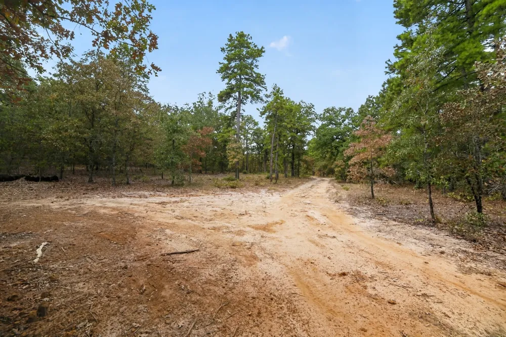 4079 S Farm To Market 2869 Road Hawkins, TX 75765