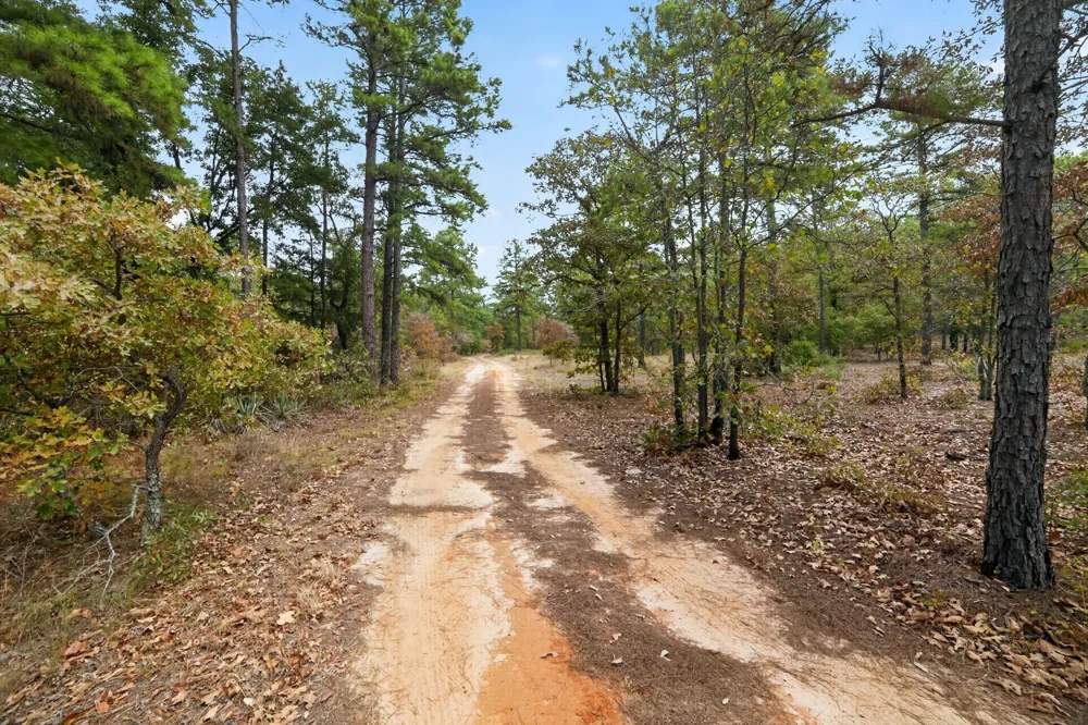 4079 S Farm To Market 2869 Road Hawkins, TX 75765