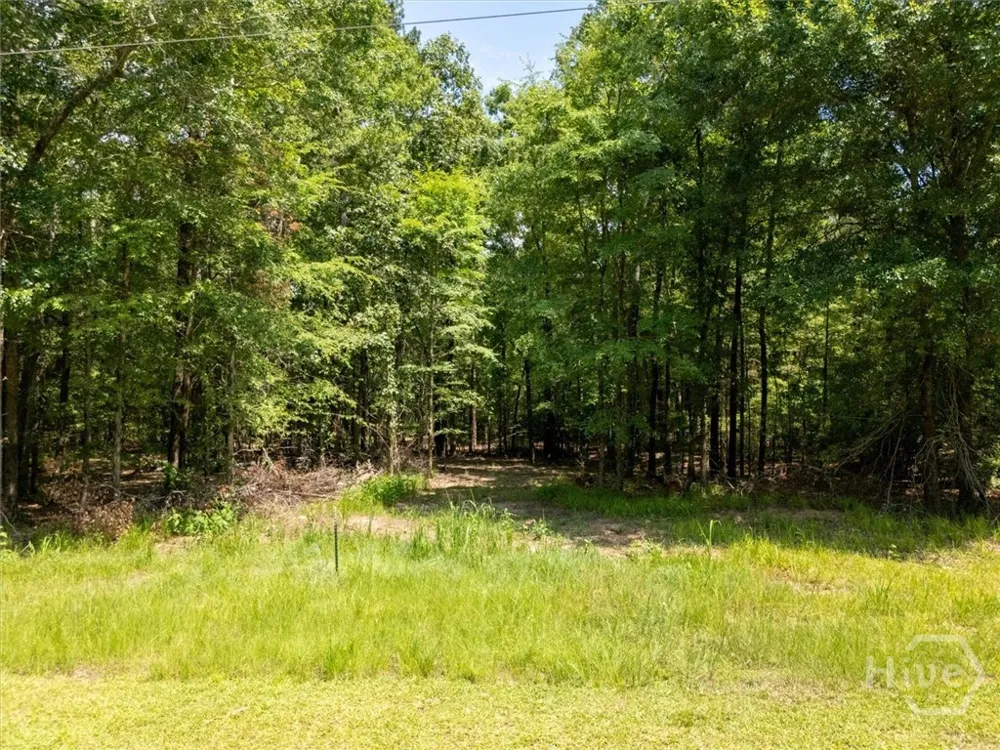 Winding Ridge Drive Tignall, GA 30668