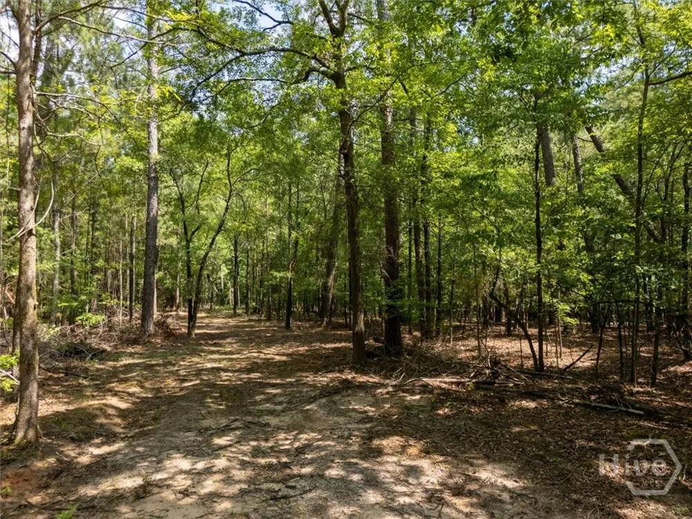 Winding Ridge Drive Tignall, GA 30668