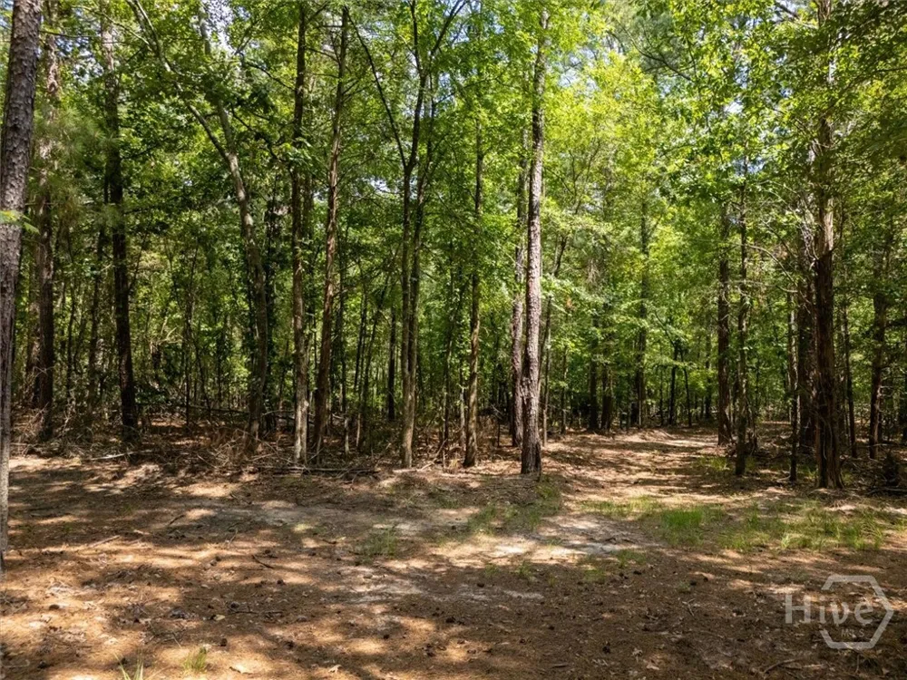 Winding Ridge Drive Tignall, GA 30668