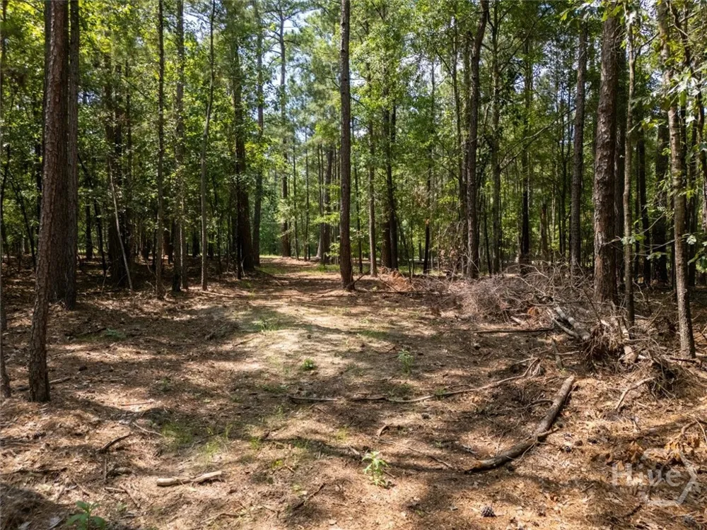 Winding Ridge Drive Tignall, GA 30668