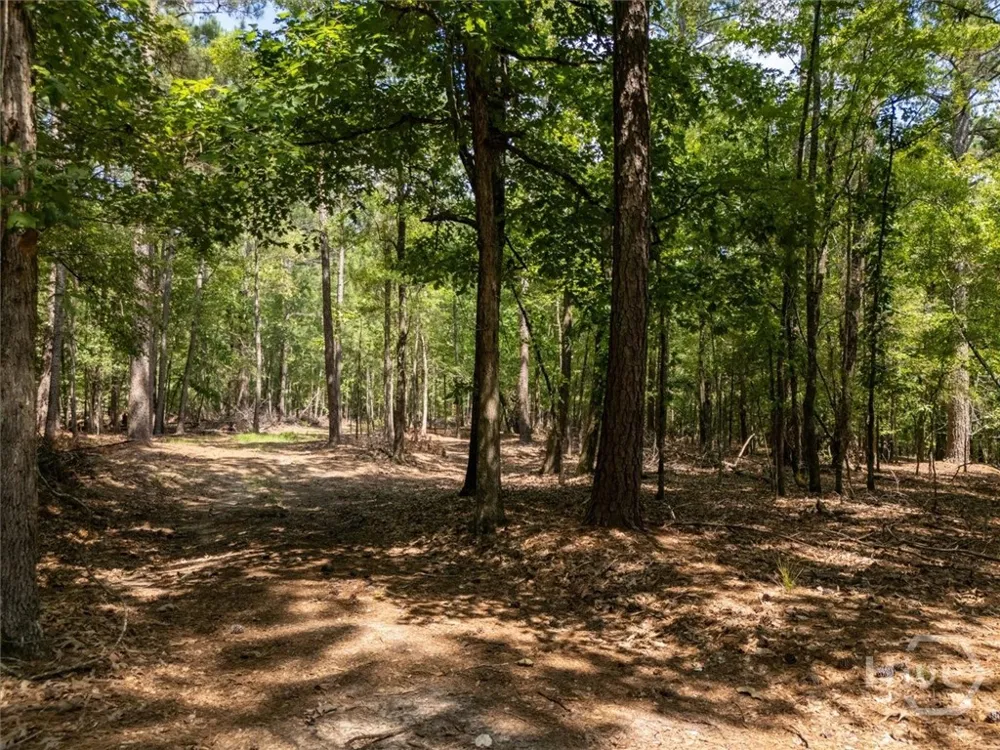 Winding Ridge Drive Tignall, GA 30668