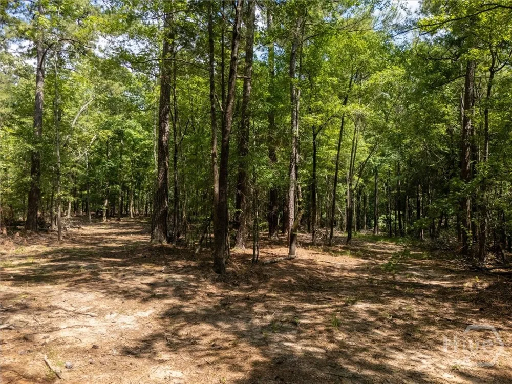 Winding Ridge Drive Tignall, GA 30668