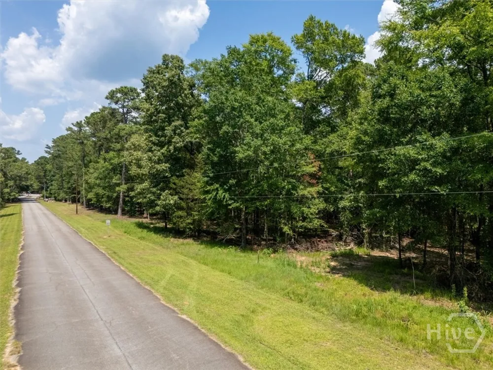 Winding Ridge Drive Tignall, GA 30668