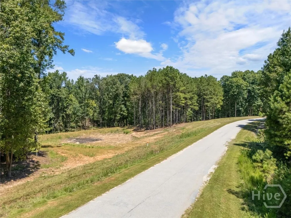 Winding Ridge Drive Tignall, GA 30668
