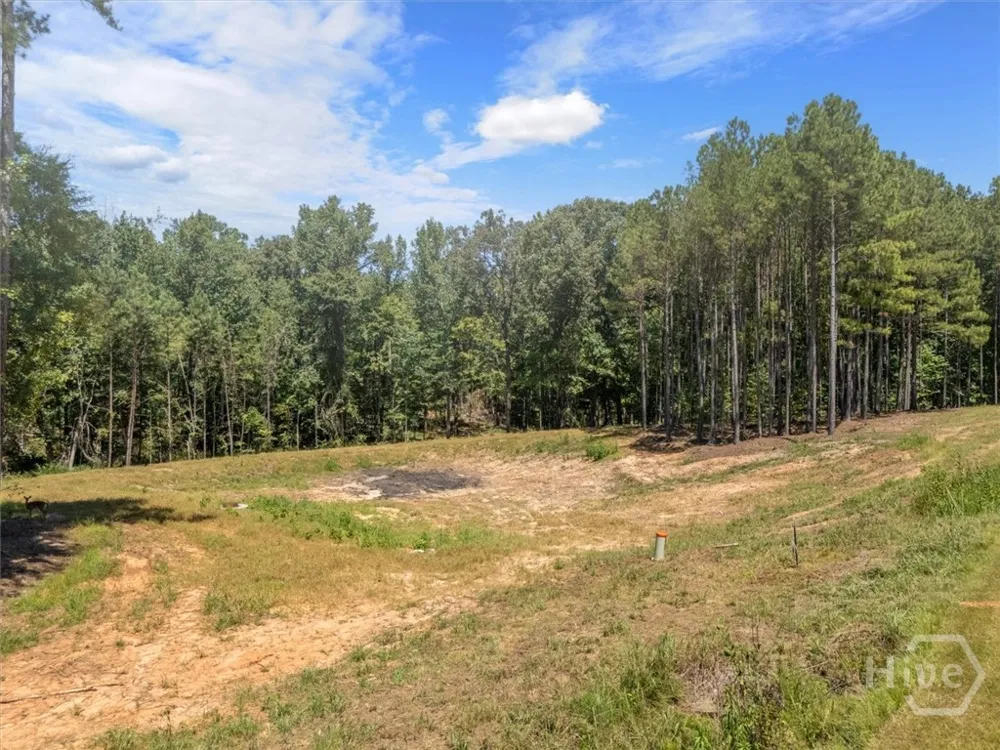 Winding Ridge Drive Tignall, GA 30668