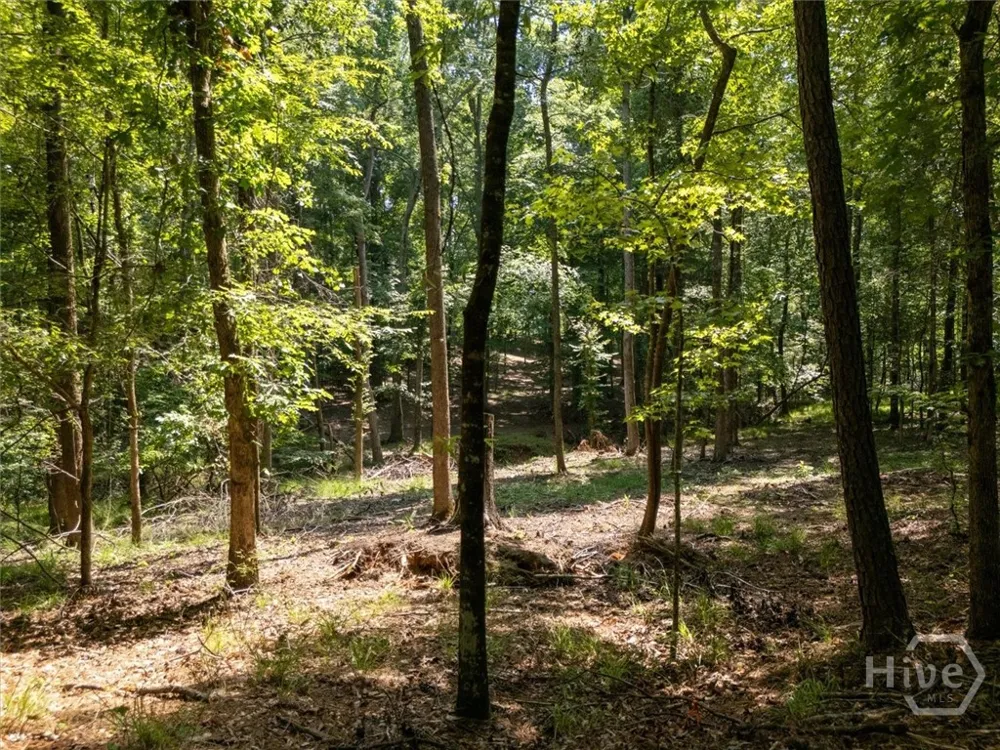 Winding Ridge Drive Tignall, GA 30668
