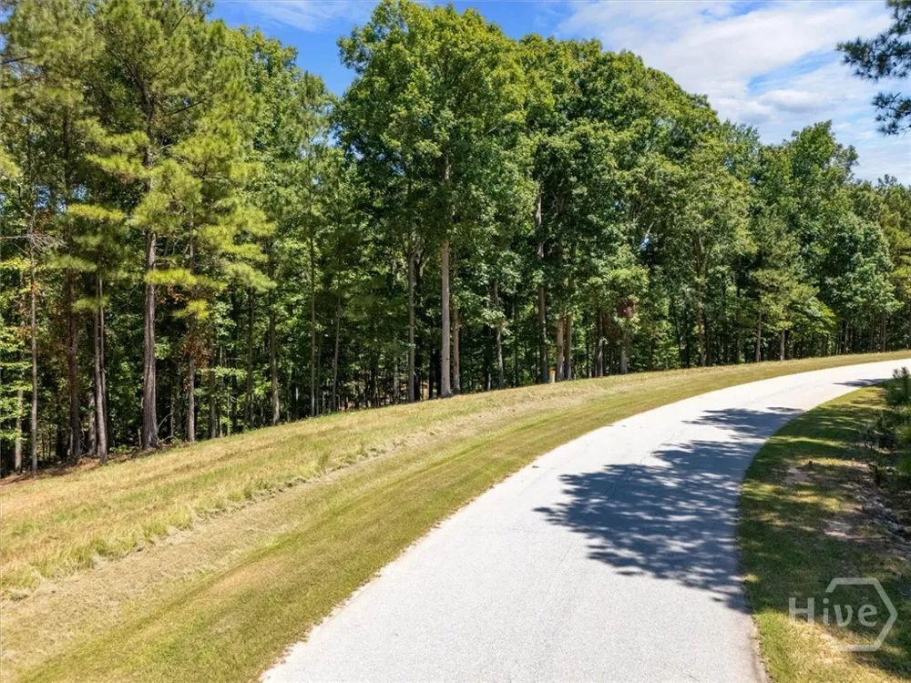 Winding Ridge Drive Tignall, GA 30668