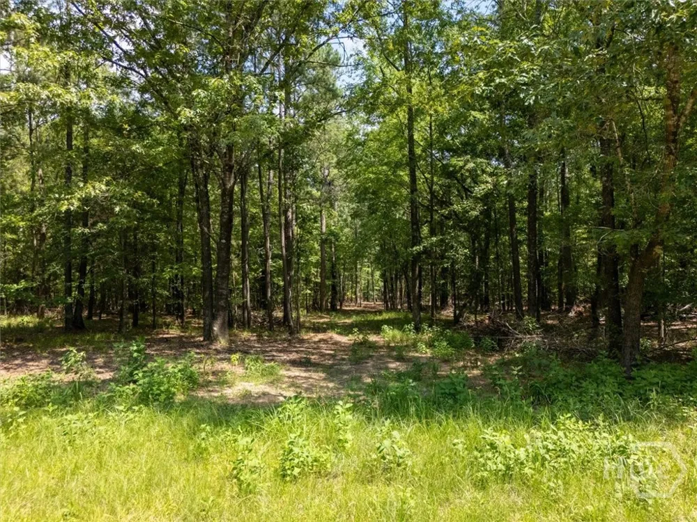 Winding Ridge Drive Tignall, GA 30668