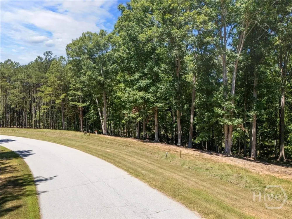 Winding Ridge Drive Tignall, GA 30668