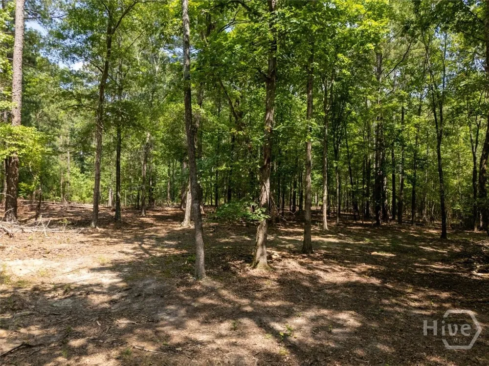 Winding Ridge Drive Tignall, GA 30668