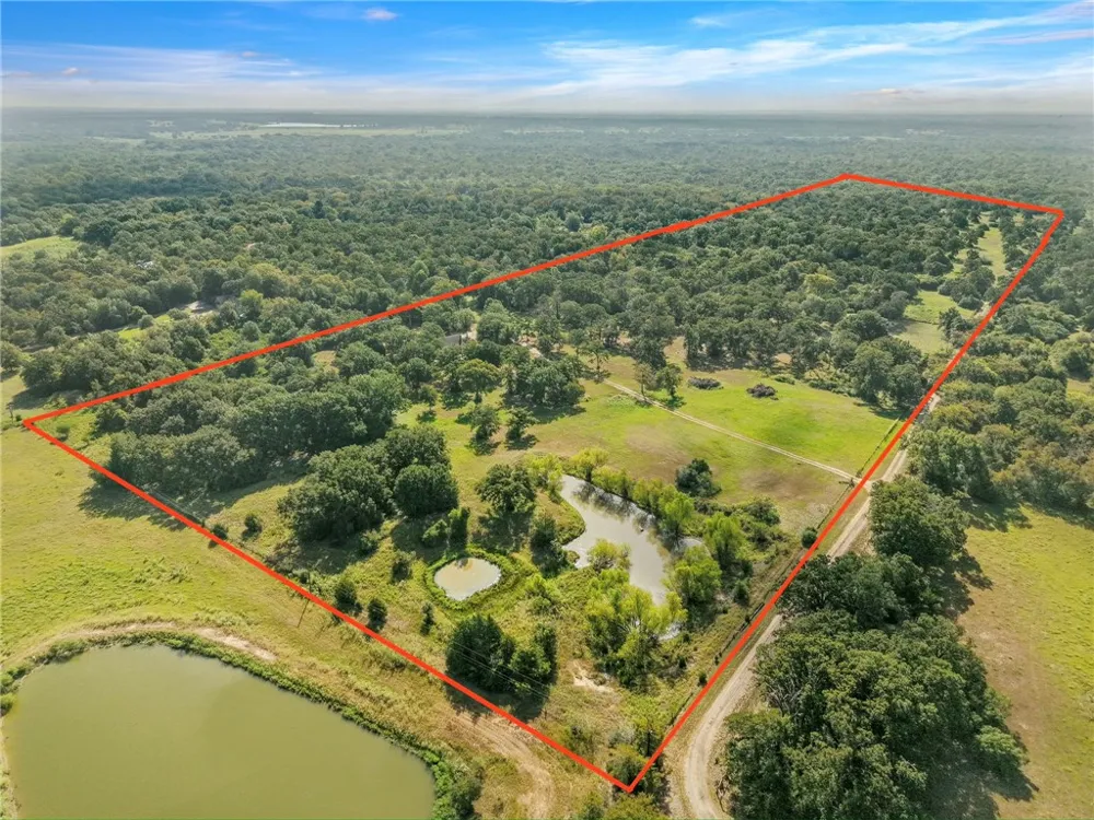 8688 Treebrook Lane Bryan, TX 77808