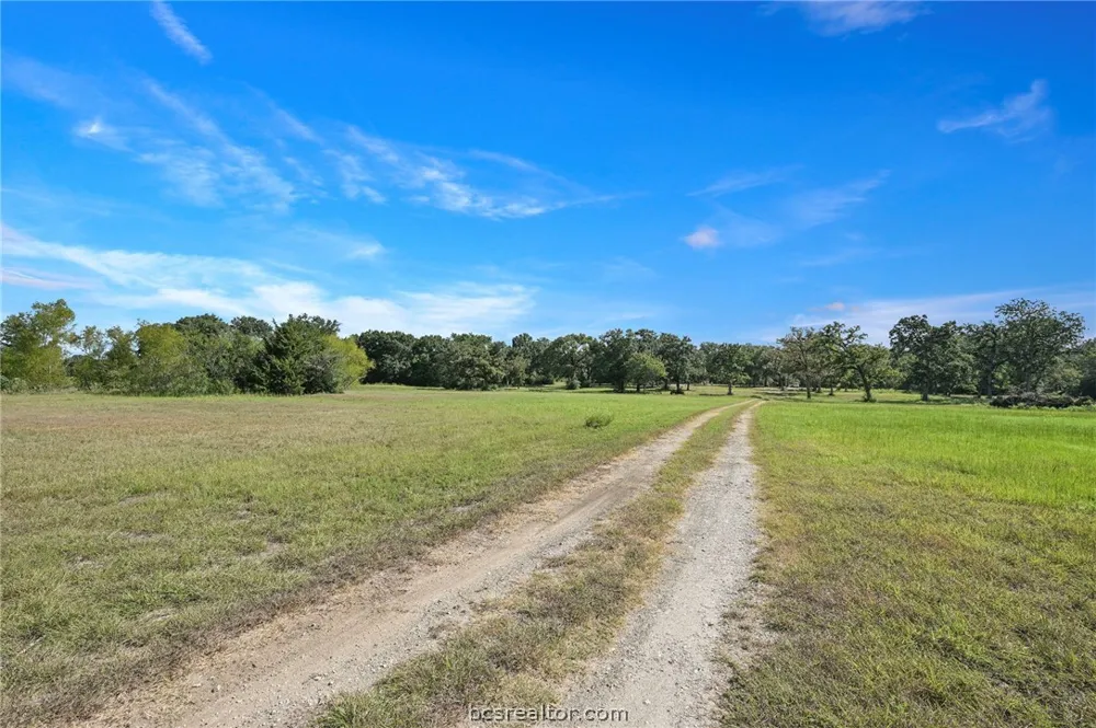 8688 Treebrook Lane Bryan, TX 77808