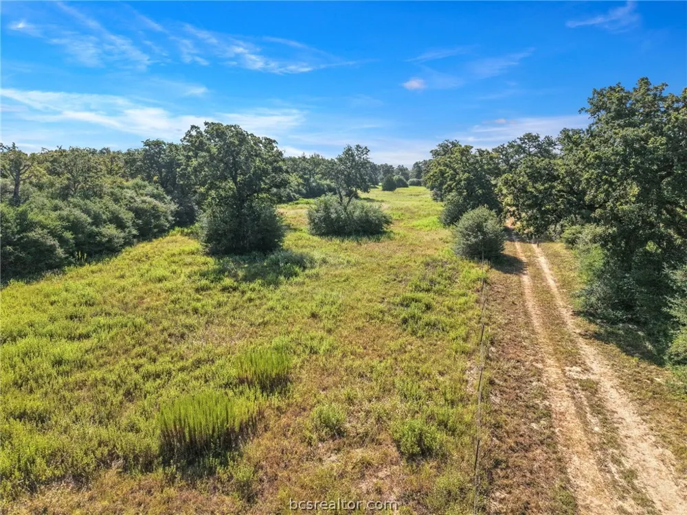 8688 Treebrook Lane Bryan, TX 77808