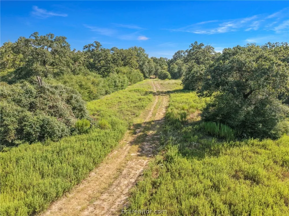 8688 Treebrook Lane Bryan, TX 77808