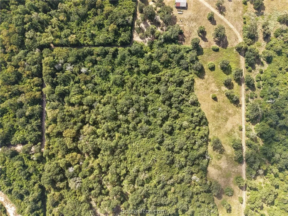 8688 Treebrook Lane Bryan, TX 77808