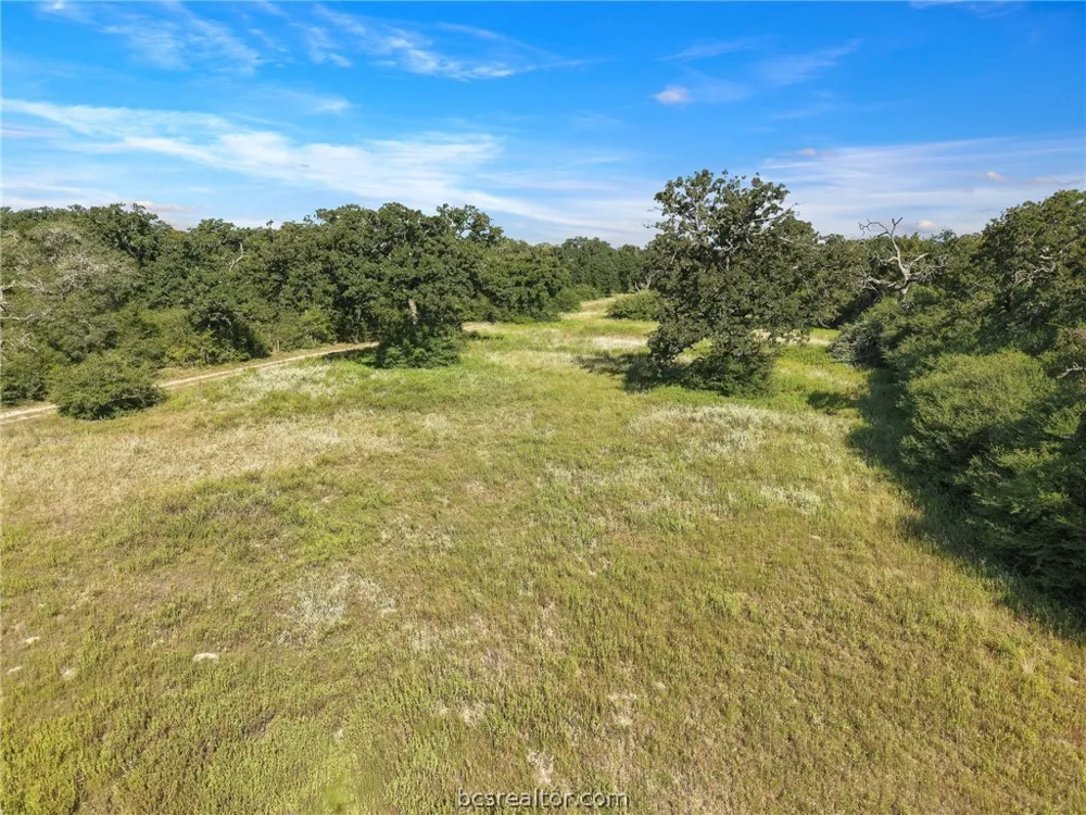 8688 Treebrook Lane Bryan, TX 77808
