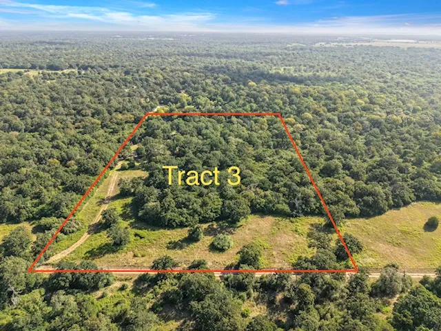 8688 Treebrook Lane Bryan, TX 77808