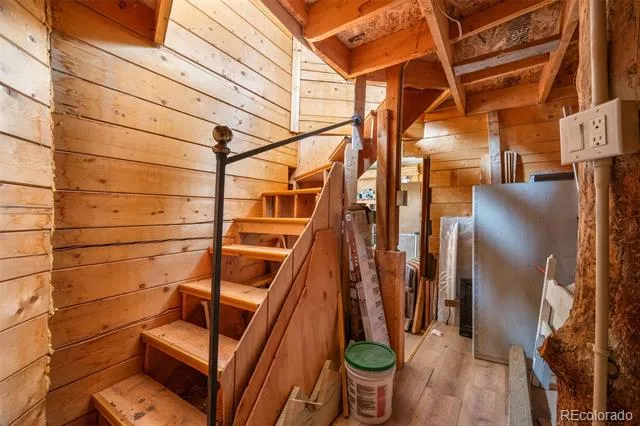 2030 Puma Hills Road Lake George, CO 80827