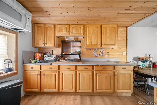 2030 Puma Hills Road Lake George, CO 80827